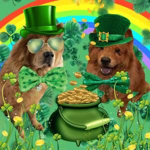 Meet your Posher, Faye